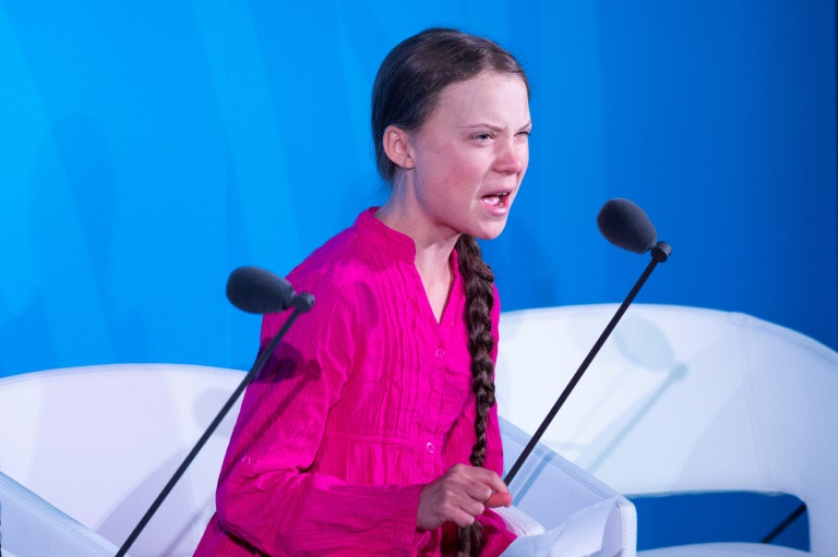 Greta Thunberg - maria do rosário Greta Thunberg
