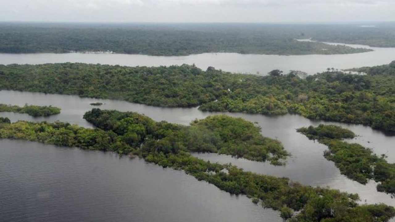 general rocha paiva floresta amazônica general floresta amazônica