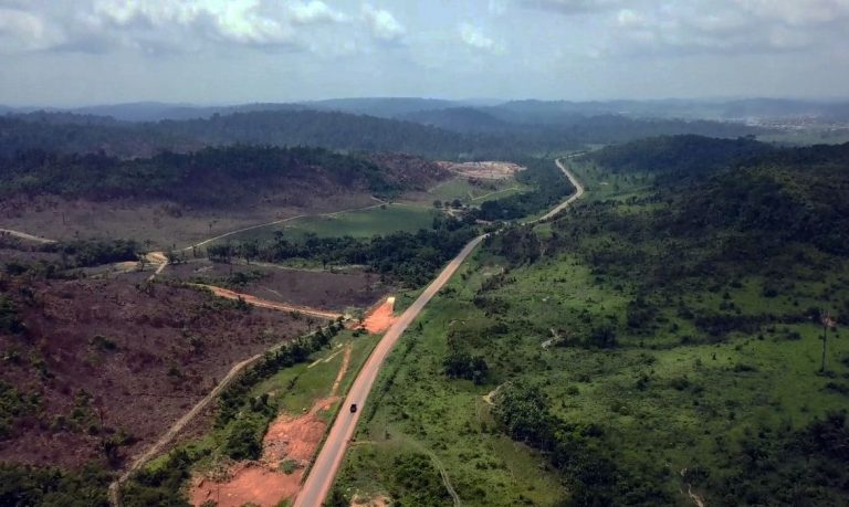 Governo leiloa rodovia que liga Mato Grosso à Hidrovia do Tapajós.
