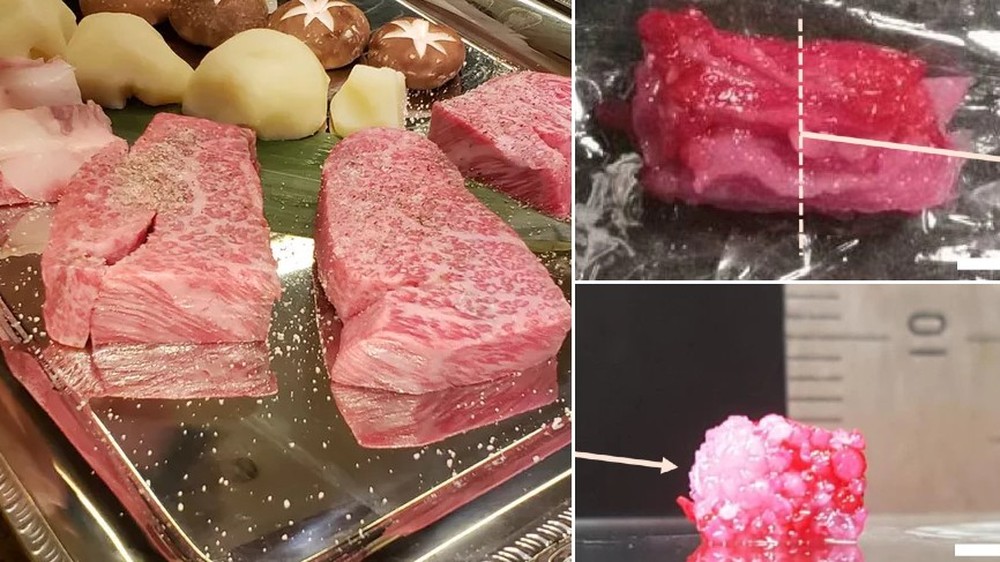 wagyu-carne-real-artificial
