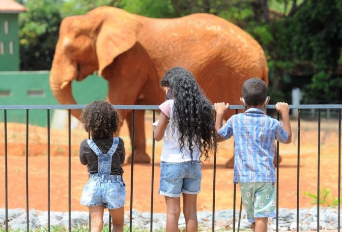 12.11.-Abre-fecha.-Zoo.-Foto-Paulo-H-Carvalho-Agência-Brasília-1024x698