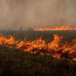 Bombeiros tentam dominar política de combate a incêndios florestais discutida no Congresso