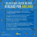 Especialistas alertam para ataques de abelhas e orientam sobre socorro