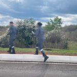 Veja: cobra é encontrada nas proximidades de shopping no DF