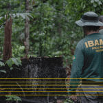 Desmatamento da Amazônia cai 22% sob Lula, menor valor desde 2018