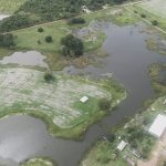 Munduruku estão cada vez mais cercados pela soja e agrotóxicos