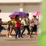 Que calor! Inmet registra 35,4°C no DF neste domingo (12/11)
