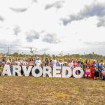 Projeto homenageia vítimas de feminicídio com plantio de árvores