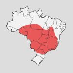 Em onda de calor, DF tem 116 escolas sem ar-condicionado