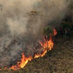 Governo Bolsonaro anulou avanços climáticos do Brasil neste século