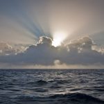 Carbono azul: aquecimento dos oceanos ameaça plâncton e clima do planeta
