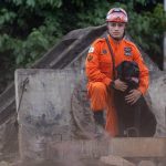 Heróis de 4 patas: conheça o trabalho de cães que atuam na segurança