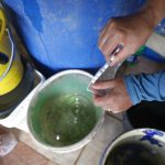 Especialista orienta sobre sintomas, tratamentos e prevenção da dengue