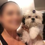 Ex-mulher acusa analista do TJDFT de roubar duas pets após divórcio