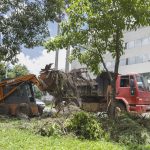 Operação de recolhimento de resíduos vegetais começa pelo Plano Piloto