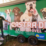 Castra-DF: Paranoá recebe o projeto de castração itinerante na próxima semana
