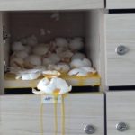 Moradores vão votar expulsão de condômino por ameaças a síndica do DF