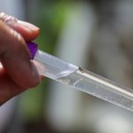 Conheça as variações do vírus transmitido pelo Aedes aegypti