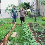 Horta comunitária do Paranoá Parque recebe apoio do GDF