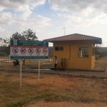 Parque do Riacho Fundo se torna modelo em agrofloresta e cultivo de Pancs