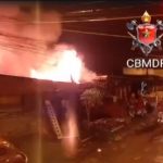 Vídeo: incêndio destrói casa de acumulador e deixa gato ferido no DF