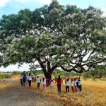 Programa Parque Educador tem 72 vagas para escolas públicas