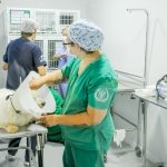 Publicada portaria com regras do programa de castração de cães e gatos