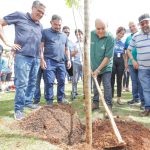 Programa de Arborização vai plantar 100 mil mudas nativas no DF em 2024