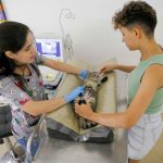 Projeto abre 1.500 vagas para castração de cães e gatos na Estrutural