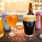 Mestres cervejeiros do DF recebem assistência em toda a cadeia produtiva