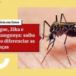 Número de mortes por dengue sobe e chega a 149 no Distrito Federal