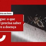 Apenas 1 região do DF registra baixa incidência de dengue. Saiba qual