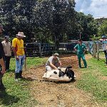Divulgados os locais de provas do concurso da Emater-DF