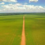 ONG aponta desmatamento em fazendas de soja fornecedoras da Cargill e da Bunge