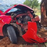 Batida de carro em árvore deixa cinco feridos no DF. Veja imagens