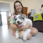 Cresce o número de apurações de maus-tratos a animais no Distrito Federal