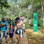 Mulheres da área ambiental são homenageadas