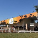 Zoo passa a aceitar pagamentos de ingressos com Pix e cartão de crédito