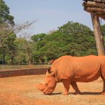 Zoológico terá fim de semana especial para as mulheres