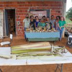 Peças feitas com fibra de bananeira geram renda para artesãs de Planaltina