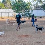 Ação comunitária cria manhã interativa para pets no Sudoeste