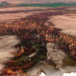 Com fogo recorde, Amazônia ainda pode ter pico de temperatura neste ano