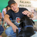 Imperdível! Feira “Adote um Amigo” neste sábado em Águas Claras