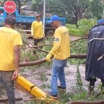 Vias do Plano Piloto passam por limpeza após a chuva