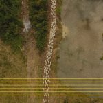 Tocantins regularizou mais de 50 mil hectares com lei pró-grilagem questionada no STF