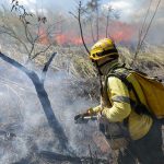 Queima controlada ajuda a evitar incêndios florestais em Águas Emendadas