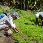 Conflitos no campo atingem maior número já registrado no Brasil desde 1985