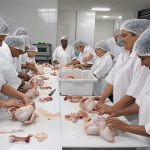 Produtores e trabalhadores rurais aprendem a desossar frango em curso