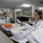 Farmacêuticos da rede pública do DF compartilham experiências em jornada