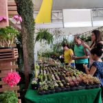 9ª Feira da Goiaba terá 30 estandes para venda de flores e plantas ornamentais